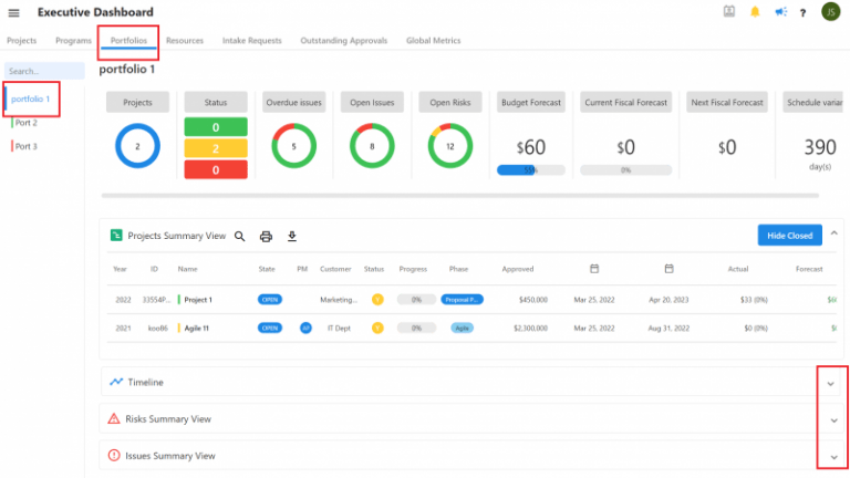 The Executive Dashboard​