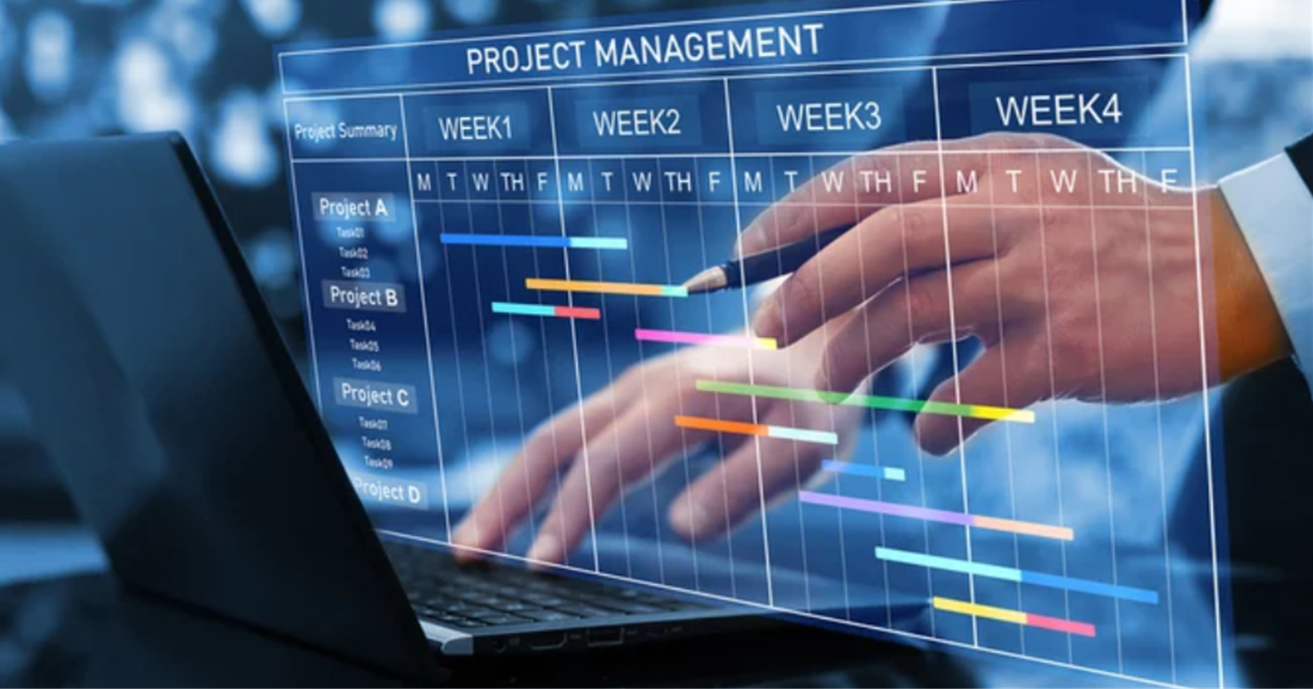 project portfolio management software