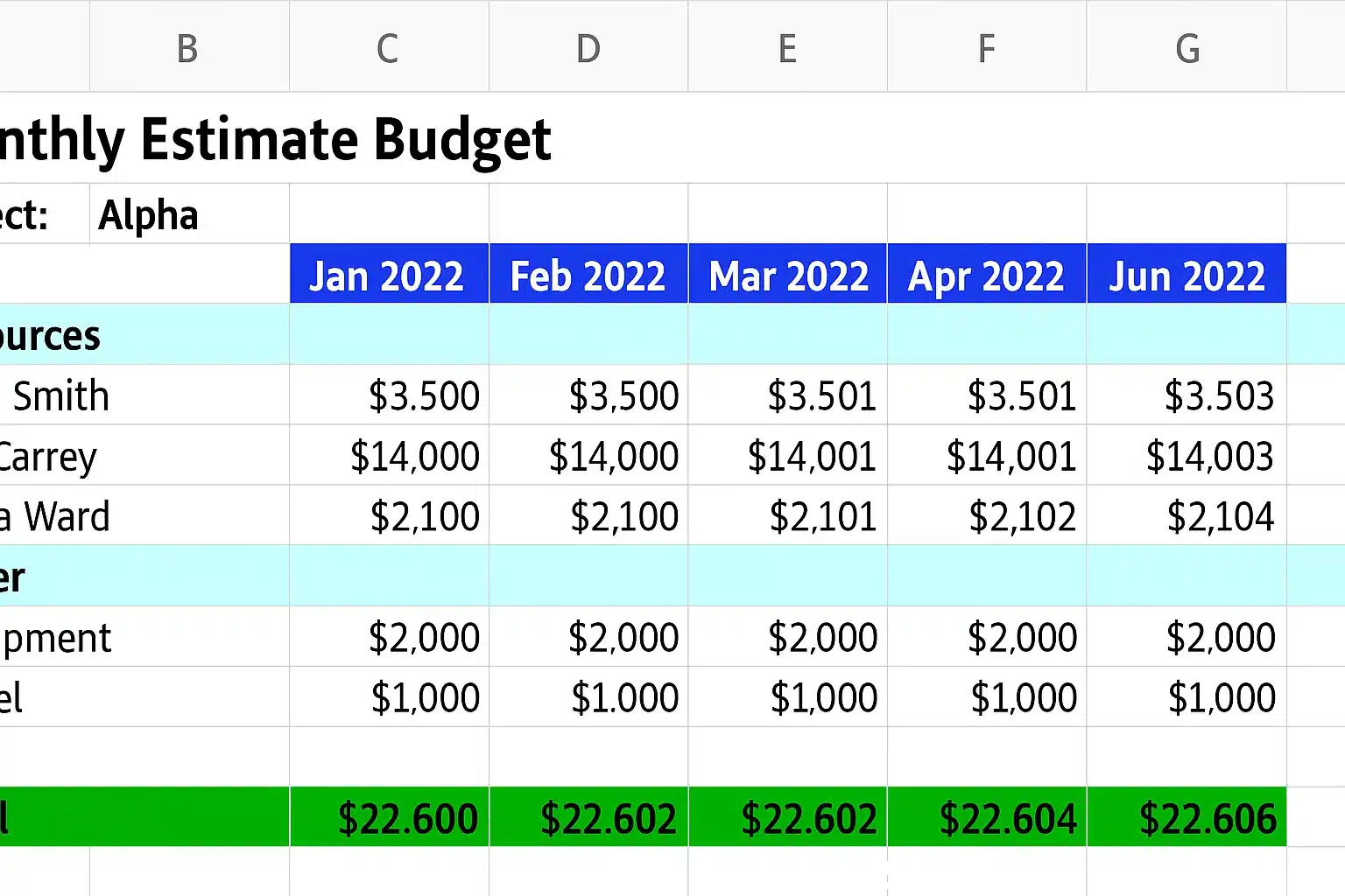 project financial management software